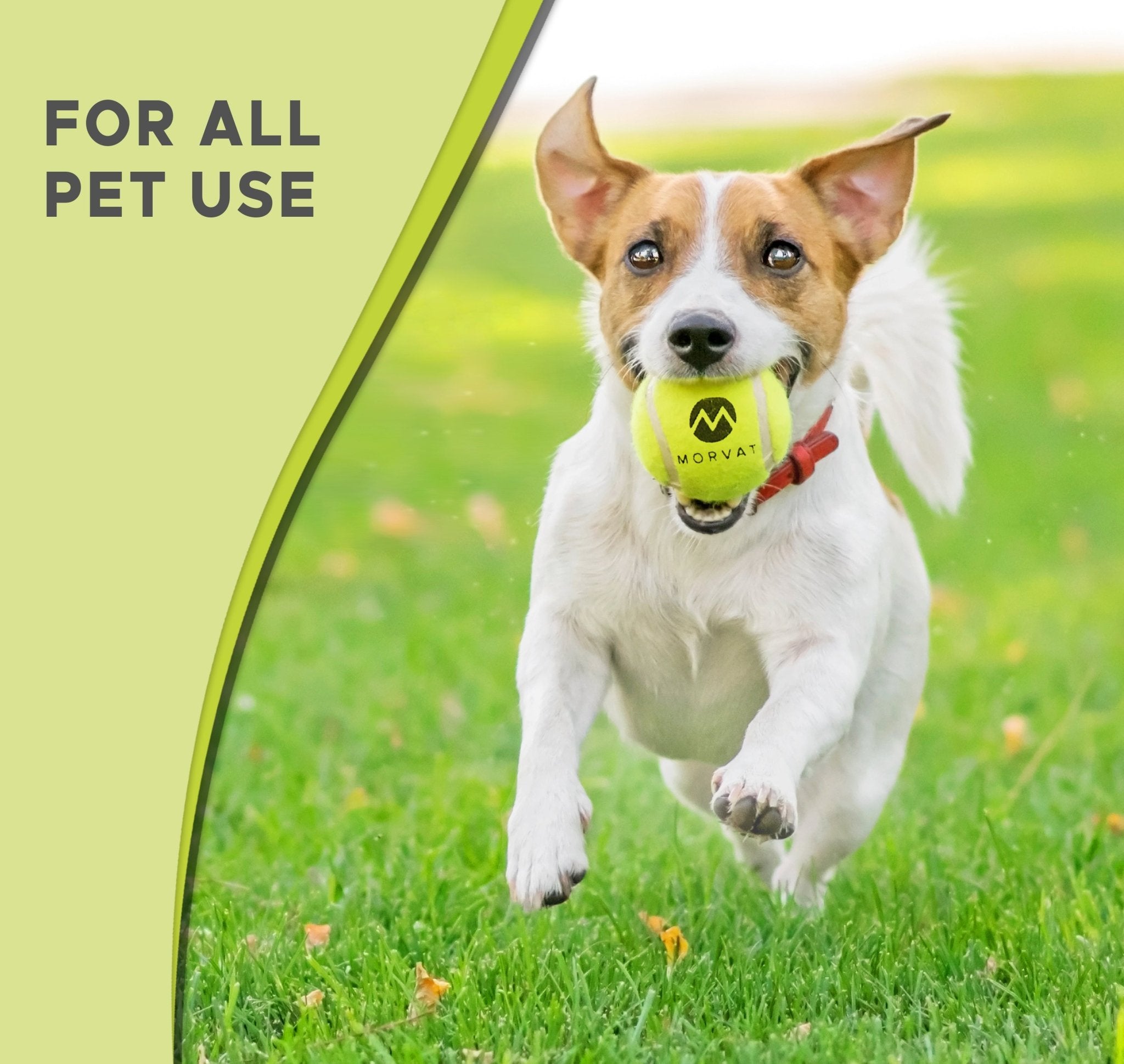 Heavy duty tennis 2024 balls for dogs